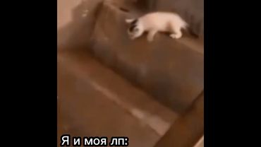 Смешно #ютуб #youtube #memes #tiktok #смешно #смешныевидео