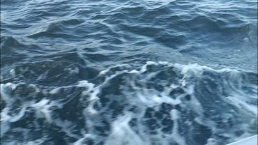 Влог зі Швеції 12-29.08.24 part3