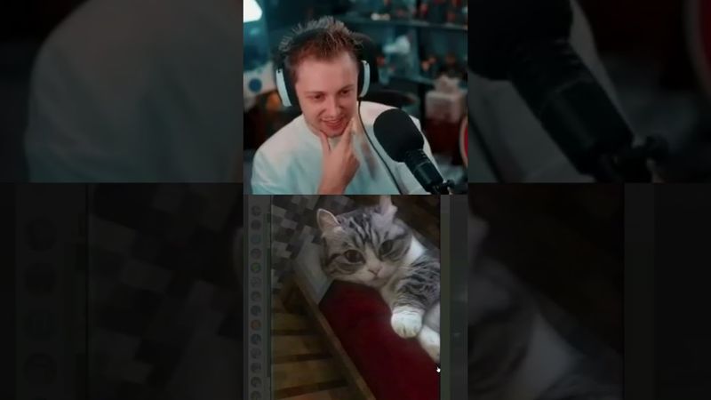 как ощущается #стинт #stint #stintik #прикол #реакция