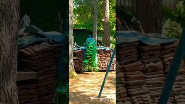 ИСТОРИЯ🇮🇹#история #жизнь #обзор #рекомендации #интересно #дом #шортс #мир