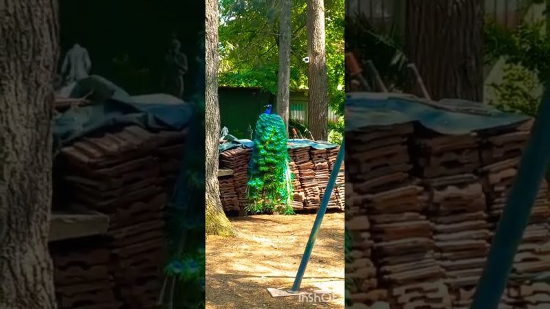 ИСТОРИЯ🇮🇹#история #жизнь #обзор #рекомендации #интересно #дом #шортс #мир