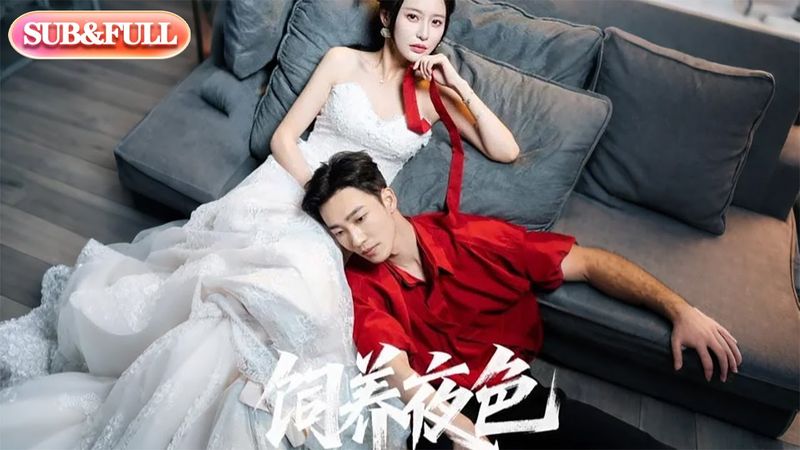 【全集FULL】《饲养夜色》| ENG SUB | 姚冠宇＆陈思澈#薄荷听书 #cdrama #latest  #热门短剧 #都市 #重生 #逆袭 #现代 #甜宠