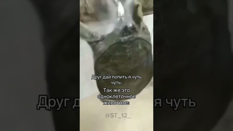 #мем #шуточное #memes #мемас #мемы #смешновидео #юмор #смешнойшортс #прикол #смехпродлеваетжизнь