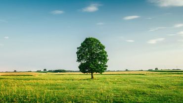 Chill Summer Liquid Drum and Bass Mix #1