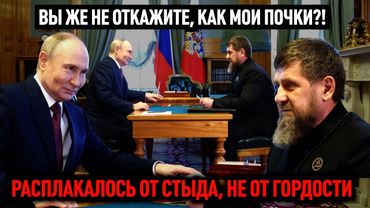 Расплакалось от стыда, не от гордости