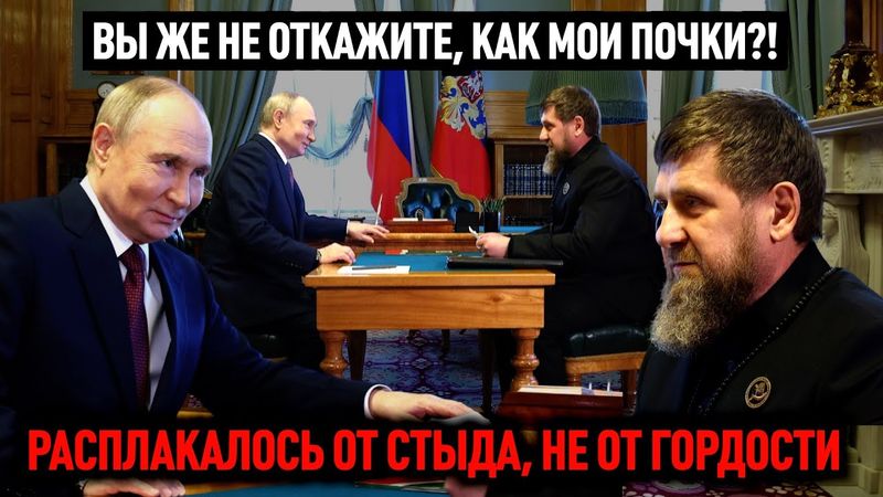 Расплакалось от стыда, не от гордости