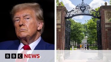 US President Trump blocks Harvard from enrolling foreign students | BBC News