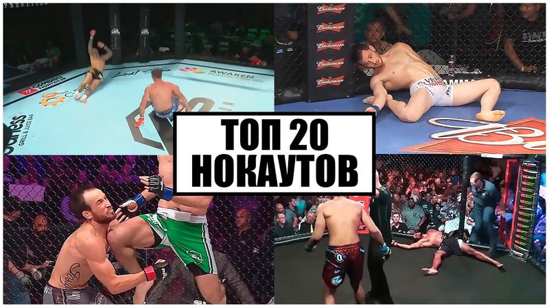 Top 20 Unusual Knockouts in MMA Part 1