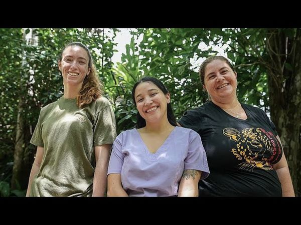 WATCH: The wildlife sanctuary rescuing animals in Costa Rica