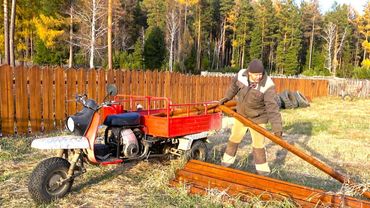 Про дорогих гостей, похолодание, шугу и другие житейские дела