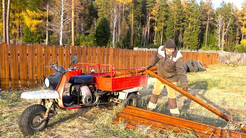 Про дорогих гостей, похолодание, шугу и другие житейские дела