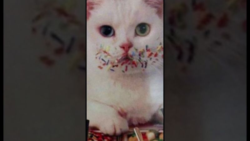 Мемы есть мемы #юмор #мемас #мем #смешновидео #мемы #лютыеприколы #прикол