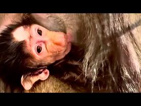 Лидочка замечательная мама, она взяла Анфисочку после рук людей и сразу прижала к себе, МЫ СЧАСТЛИВЫ