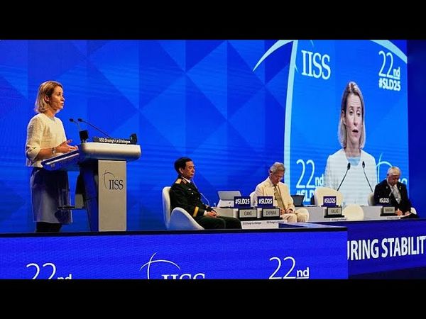 World should be 'extremely worried' about Russia-China relationship, EU foreign policy chief warns