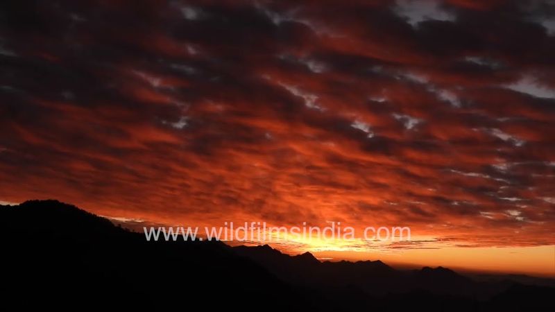 Albe e tramonti sull'Himalaya occidentale, visti da wildfilmsindia a Jabbarkhet