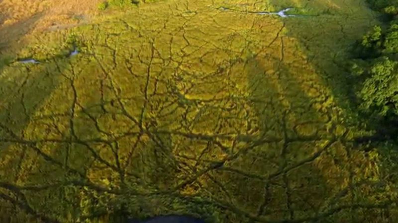 Sony BRAVIA 4K TV - Another World