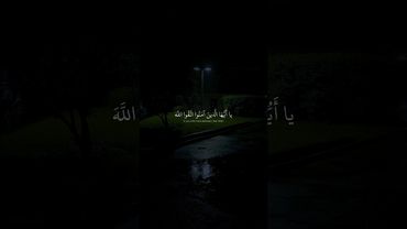يا أَيُّهَا الَّذينَ آمَنُوا اتَّقُوا اللَّهَ | محمد صديق المنشاوي | سورة التوبة