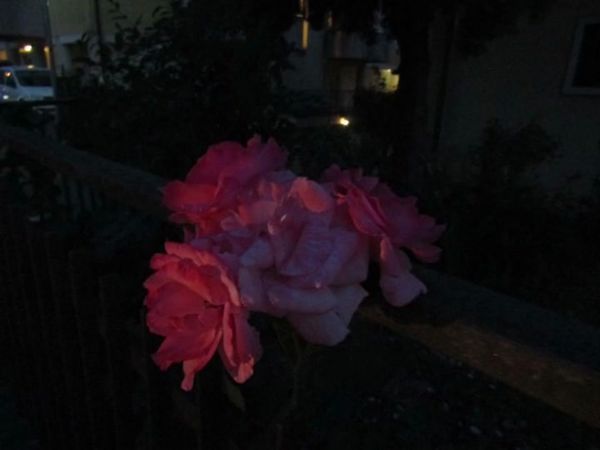 #джизус #text #текст #музыка 