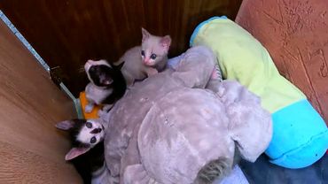 #Славянск. 26 июля 2025г. Вечер.