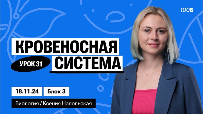 Кровеносная система | Биофак 2025 | Урок 31
