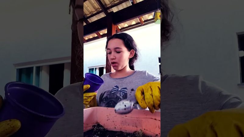 24 de agosto de 2025