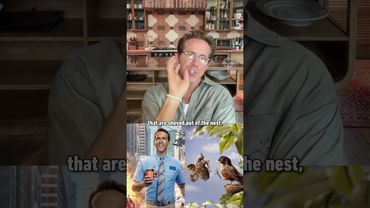 Ryan Reynolds knows his animals #underdogs