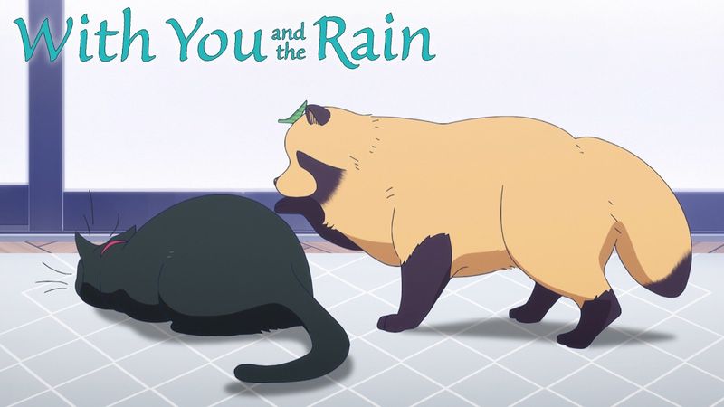 Why Won't The Cat Be His Friend 🥲 | With You and the Rain