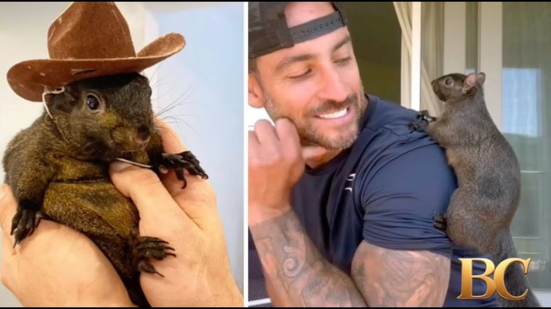 Peanut the Squirrel’s Owners Seek $10M Over Death of ‘Irreplaceable’ Animal