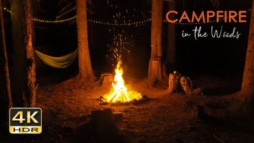 4K HDR Campfire in the Woods - Crackling Fire & Cricket Sounds - Relaxing Nighttime Camping Ambiance