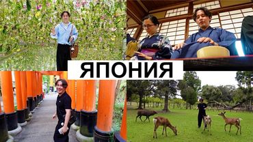 Я В ЯПОНИИ! (на меня РЕАЛЬНО напал олень, чайная церемония в кимоно, вкусная еда)