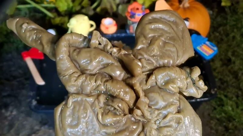 Чистка семьи от сведения счетов между родичами,  боевой магии, рассорок, порч от родственников!🙉