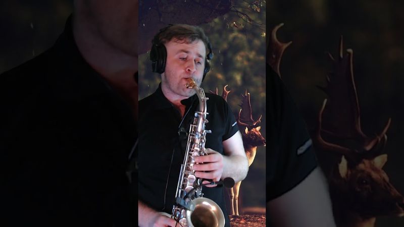 Лесной олень #саксофон #shorts