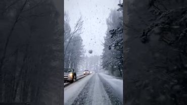 Песня со смыслом "У судьбы"#music #love #live #песня #нейросеть#shorts #reels #like