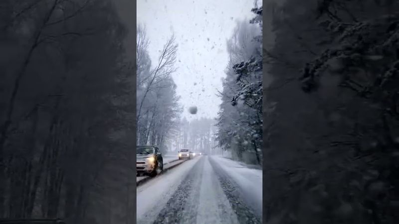 Песня со смыслом "У судьбы"#music #love #live #песня #нейросеть#shorts #reels #like