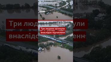 Люди застрягли на дахах будинків через рекордні повені в Австралії #shorts #новини #австралія