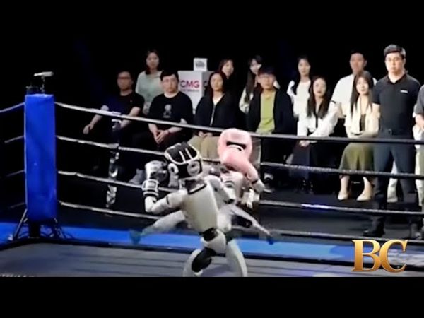 Humanoid robots fight in Chinese kick-boxing competition