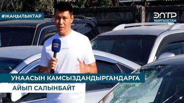 КЫТАЙ-КЫРГЫЗСТАН-ӨЗБЕКСТАН ТЕМИР ЖОЛУ: ЭНЕРГЕТИКАДАГЫ АЛГАЧКЫ ИЙГИЛИКТЕР