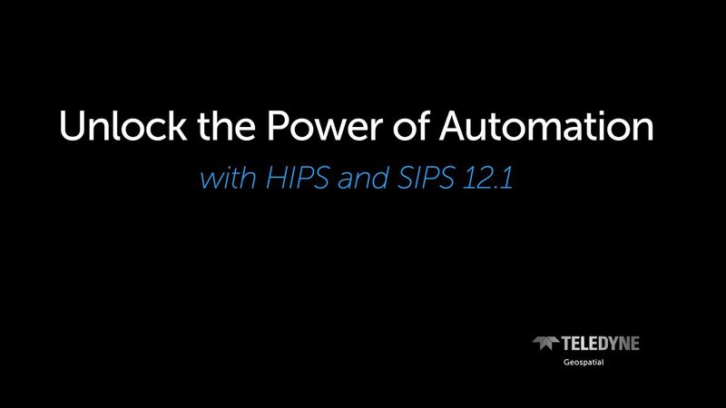 HIPS & SIPS full video