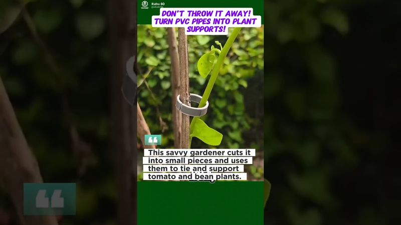 Genius Gardening Hack Using Old PVC Pipes!