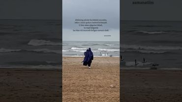 munosib boʻlgan narsani oladi.