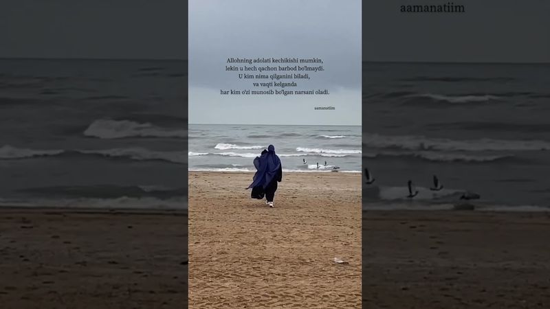 munosib boʻlgan narsani oladi.