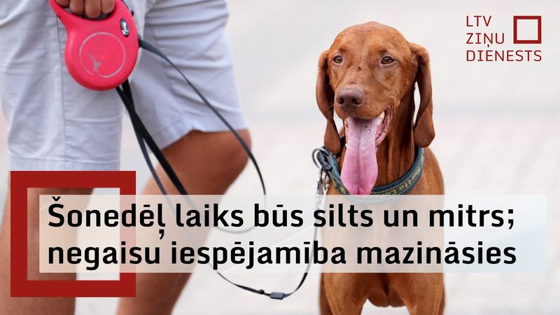 Beidzot vasara patiešām ir sākusies! Šonedēļ būs silti