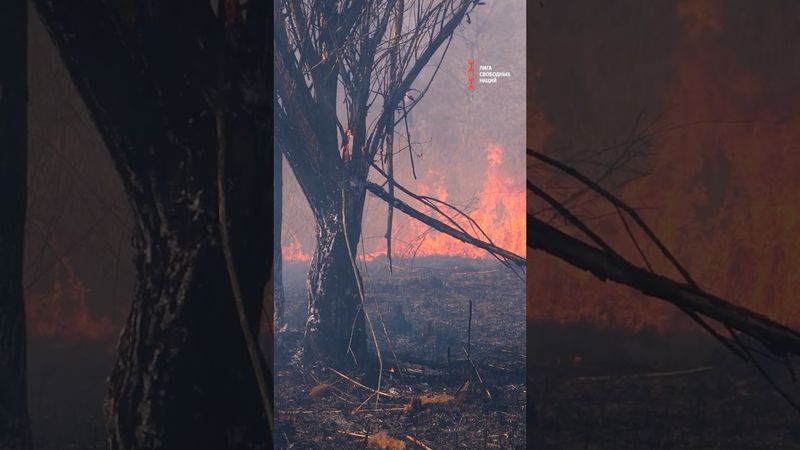 Катастрофа в Сибири