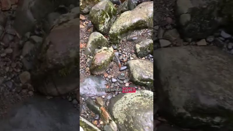 Время покажет #астрология #козерог #астропрогноз #2026 #созвездие