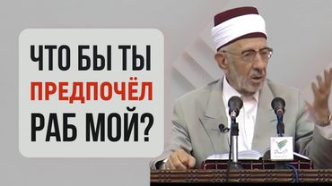 Правильный взгляд на тревогу, страхи, беспокойство, болезни и несчастья? | Шейх Рамадан аль-Буты