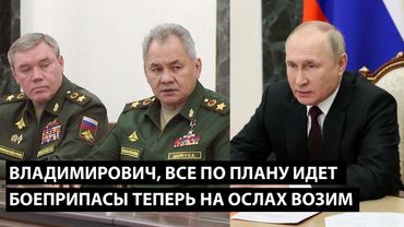 Владимирович, все по плану идет... БОЕПРИПАСЫ ТЕПЕРЬ НА ОСЛАХ ВОЗИМ