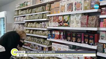 Гъбеното кафе набира популярност в Англия като здравословна алтернатива