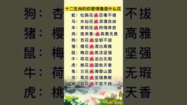 「十二生肖的愛情像什麼花」 #易经 #正能量 #運勢 #生肖