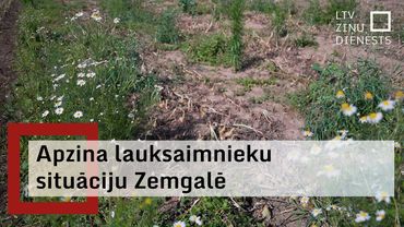 “Zemnieku saeima”: Lietavu radītie zaudējumi lauksaimniekiem – vairāki simti miljoni eiro