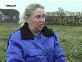 Дорогу в Черёмушке разбивают грузовики. Сюжет из передачи Первомайского ТВ от 02.11.2018